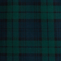 bear tartan fleece hoodie