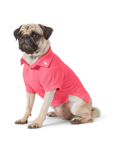 Polo ralph shop lauren dog clothes