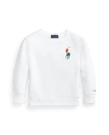 Ralph lauren clearance pride sweatshirt