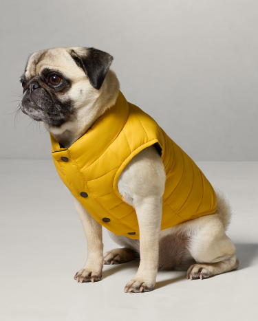 Ralph lauren dog trench coat top